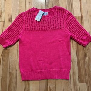 Evereve Remy Crochet Pullover